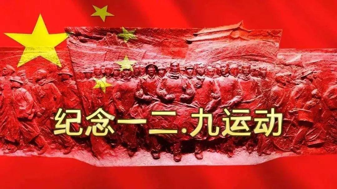 海岛大亨5