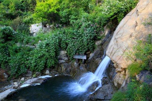 逆水寒